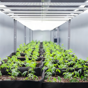 Ferme en conteneurs avec système d'énergie solaire qui cultive des légumes hydroponiques pour l'agriculture urbaine