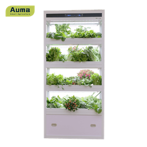 Armoire de plantation entièrement fermée AM4T avec système hydroponique pour ferme urbaine