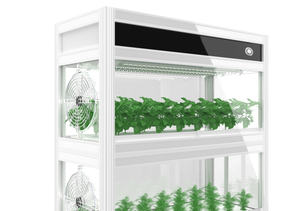 L'armoire pour plantes hydroponiques avec lumière et ventilation pour l'agriculture urbaine